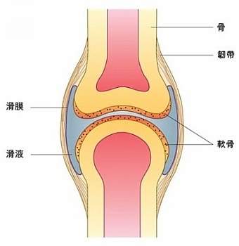 【健康常识】掰指关节会导致关节炎吗?